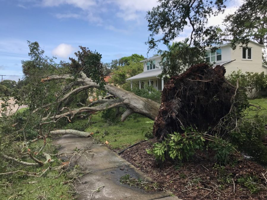 Hoban Family Impacted by Hurricane Irma