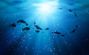 Which ocean is the best? An official ranking