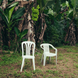 Bad Bunny's album cover for "DeBÍ TiRAR MáS FOToS" IMAGE COURTESY OF APPLE MUSIC