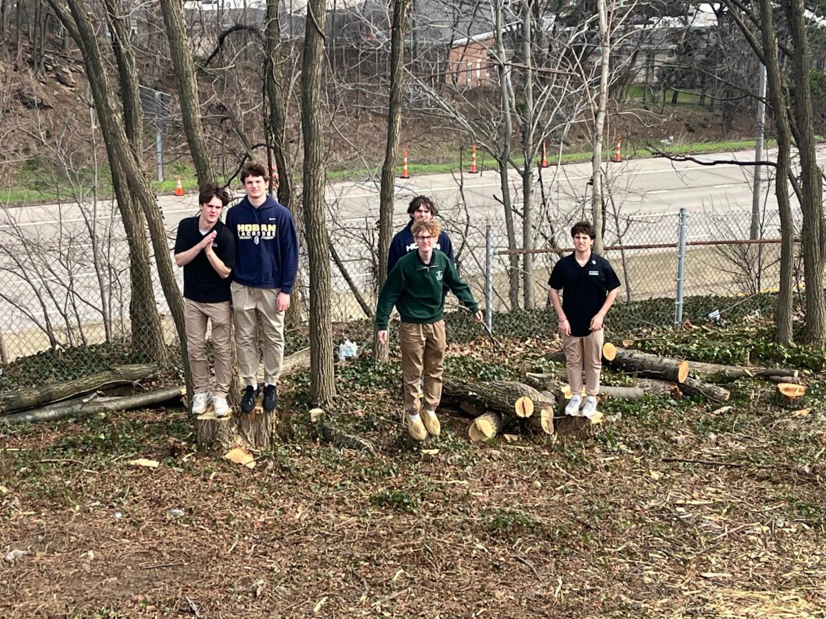 Second period CCP Environmental Science students stand on the stumps of recently removed trees. After analyzing the result of the landscape change they pursued a discussion of the environmental impacts that renovations may present. PHOTO COURTESY OF ANNA SIDERS