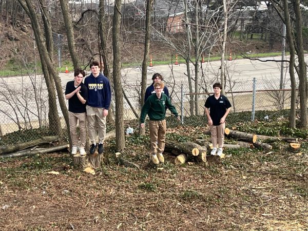 Second period CCP Environmental Science students stand on the stumps of recently removed trees. After analyzing the result of the landscape change they pursued a discussion of the environmental impacts that renovations may present. PHOTO COURTESY OF ANNA SIDERS